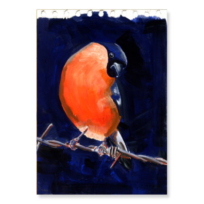 Bullfinch 2: A5