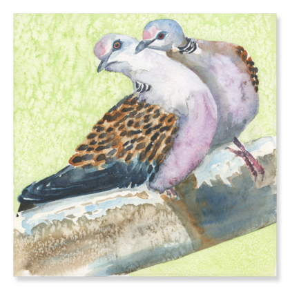 Two Turtle Doves: 200x200mm