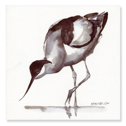 Avocet 200x200mm