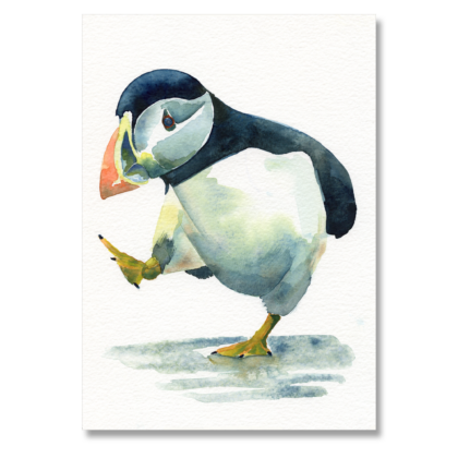 Puffin 4: A5