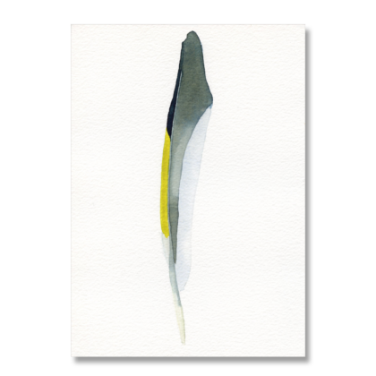 Goldfinch Feather A5
