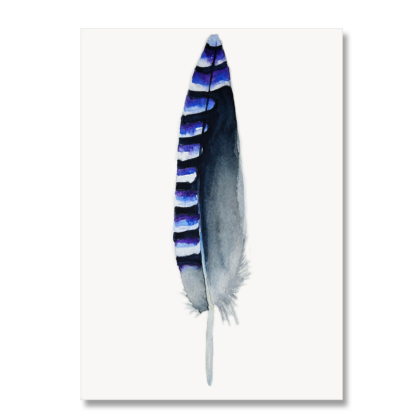 Jay Feather A5