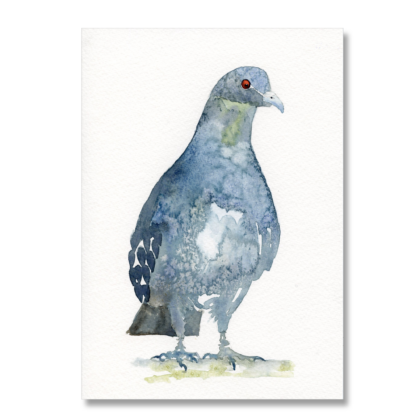 Pigeon 7: A5