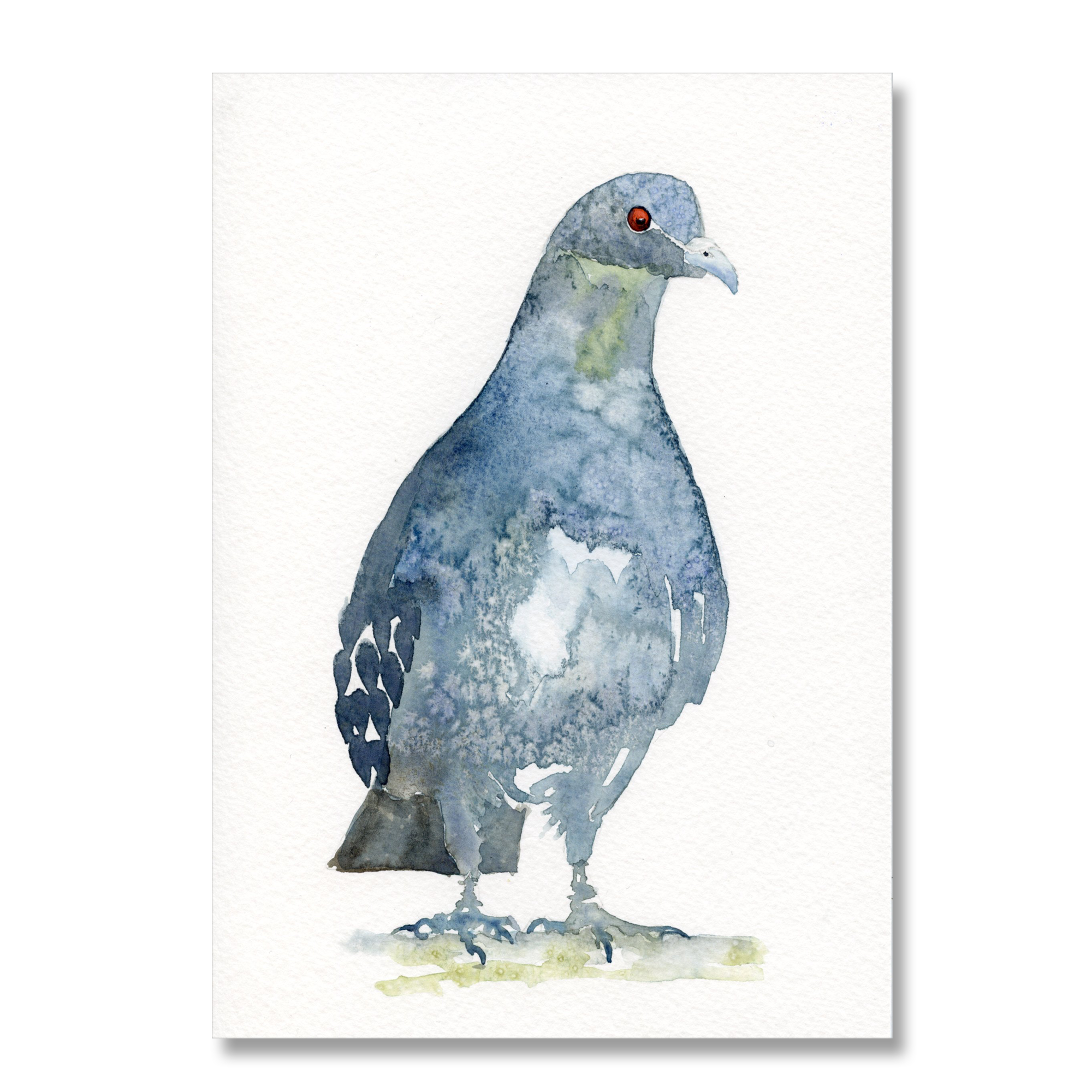 Pigeon 7: A5