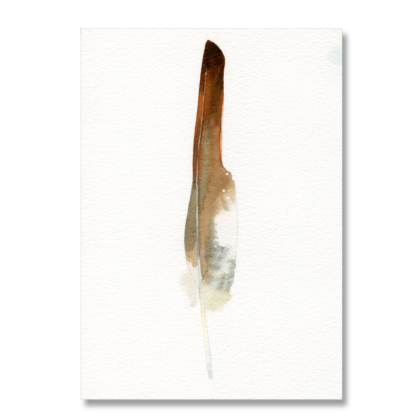 Red Kite Feather A5