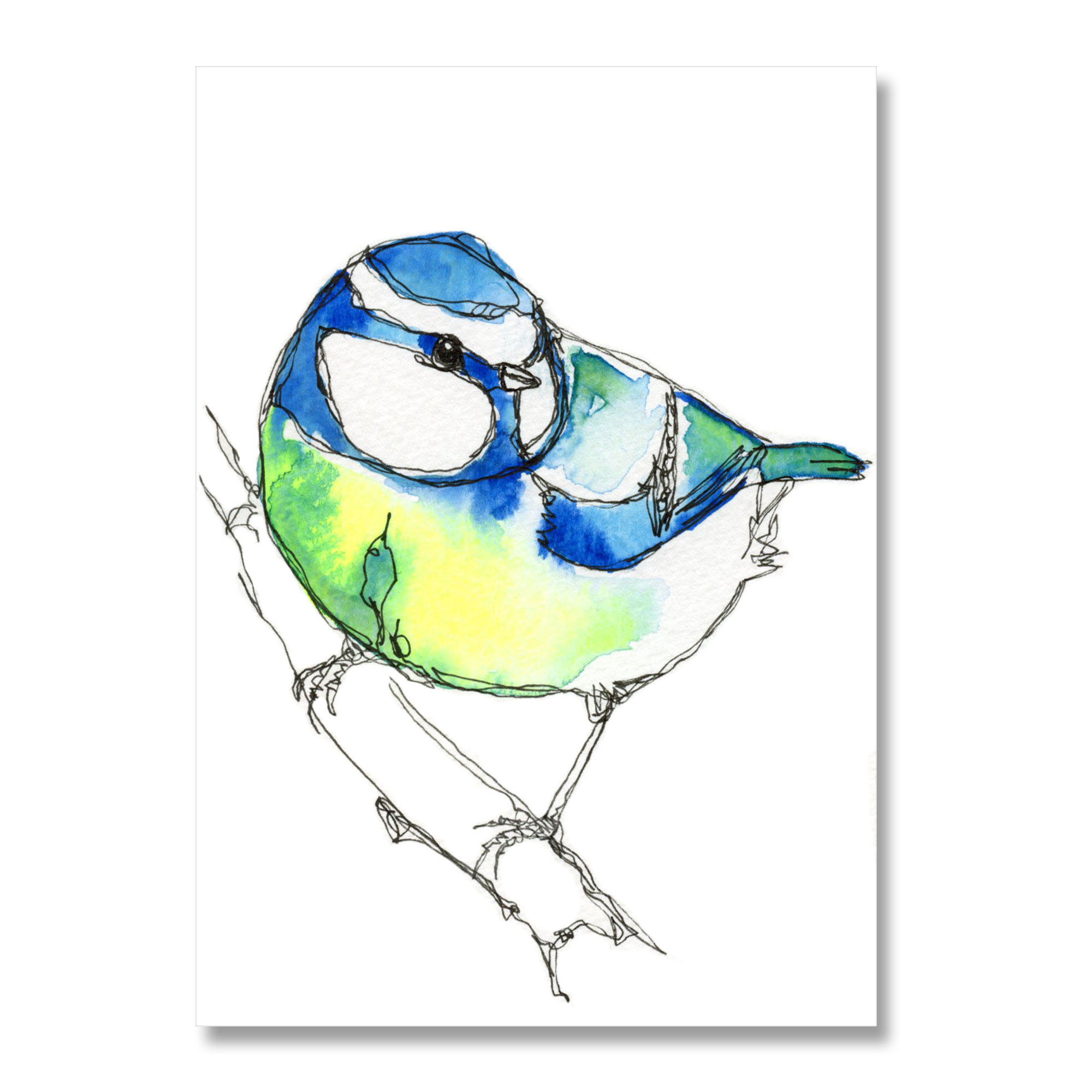 Blue Tit 6: A6