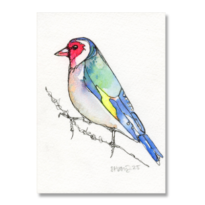 Goldfinch A6