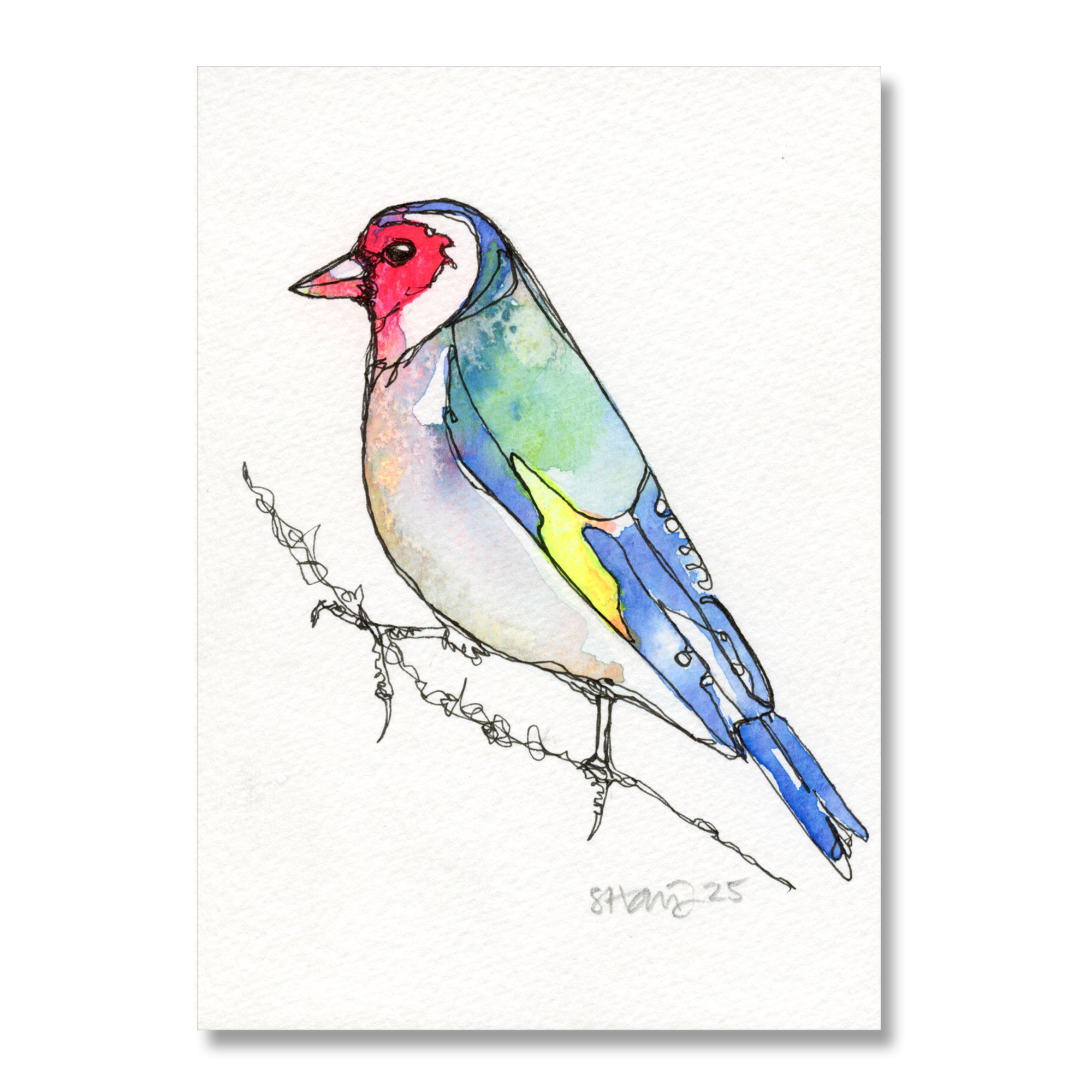 Goldfinch A6