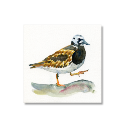 Turnstone 180x180mm