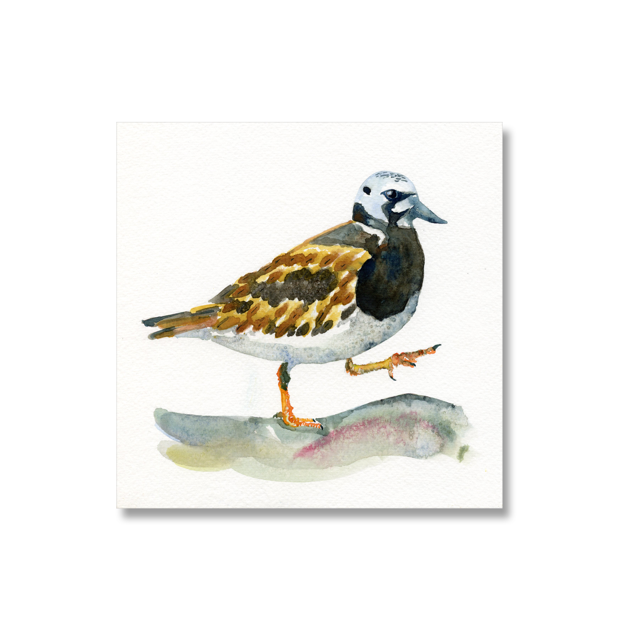 Turnstone 180x180mm