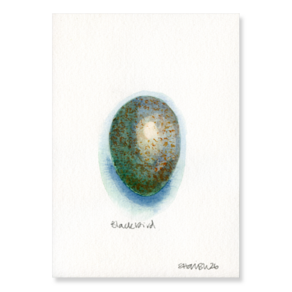 Blackbird Egg (3 x larger) A5