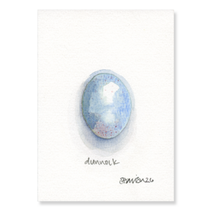 Dunnock Egg (3 x larger) A6