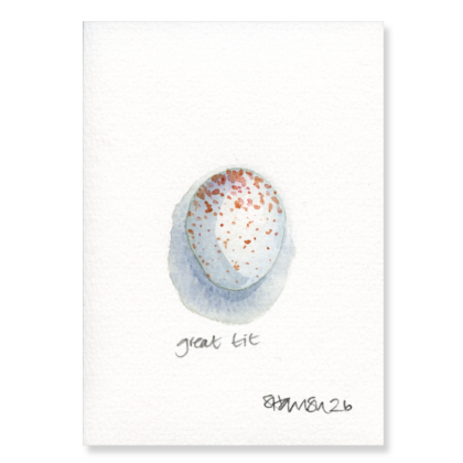 Great Tit Egg (3 x larger) A6