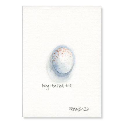 Long-tailed Tit Egg (3 x larger) A6