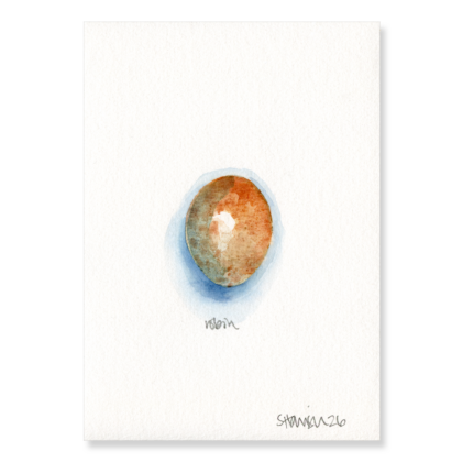Robin Egg (3 x larger) A5