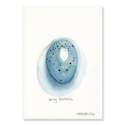 Song Thrush Egg (3 x larger) A5