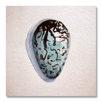 Guillemot Egg