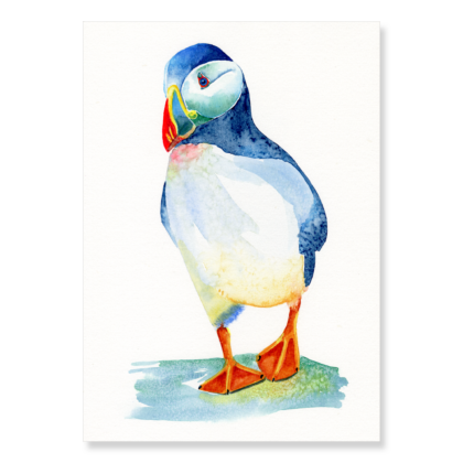 Luminous Puffin: A4